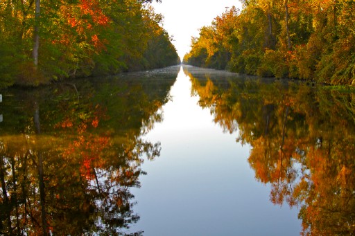 Fall Dismal Swamp Canal