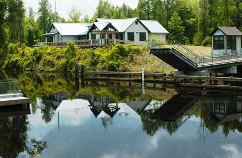 Dismal Swamp State Park