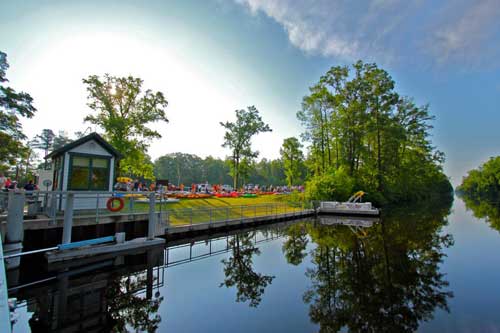 Dismal Swamp State Park