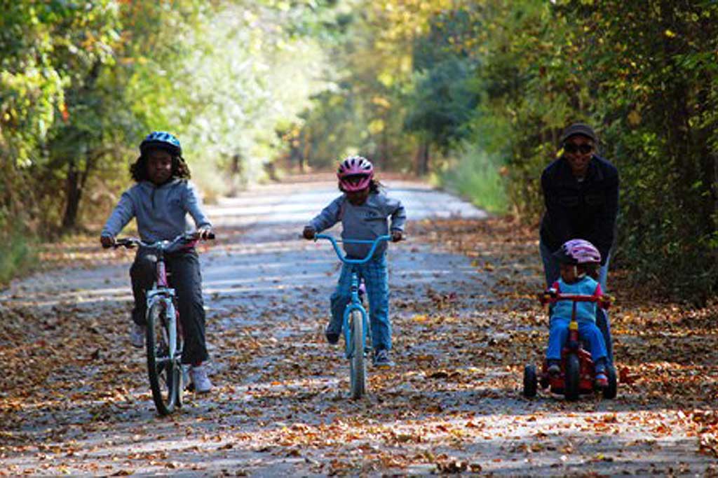 Dismal Swamp Trail